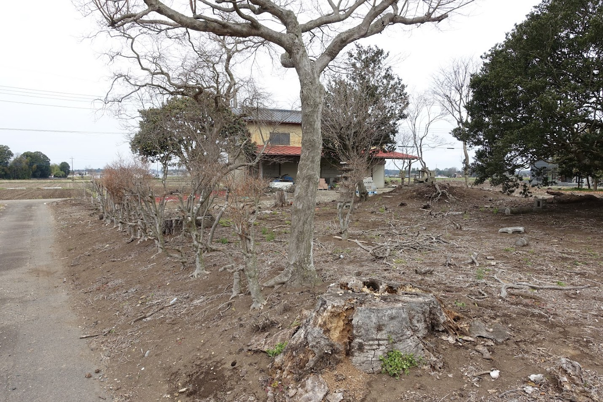 f:id:massneko:20220405082231p:plain