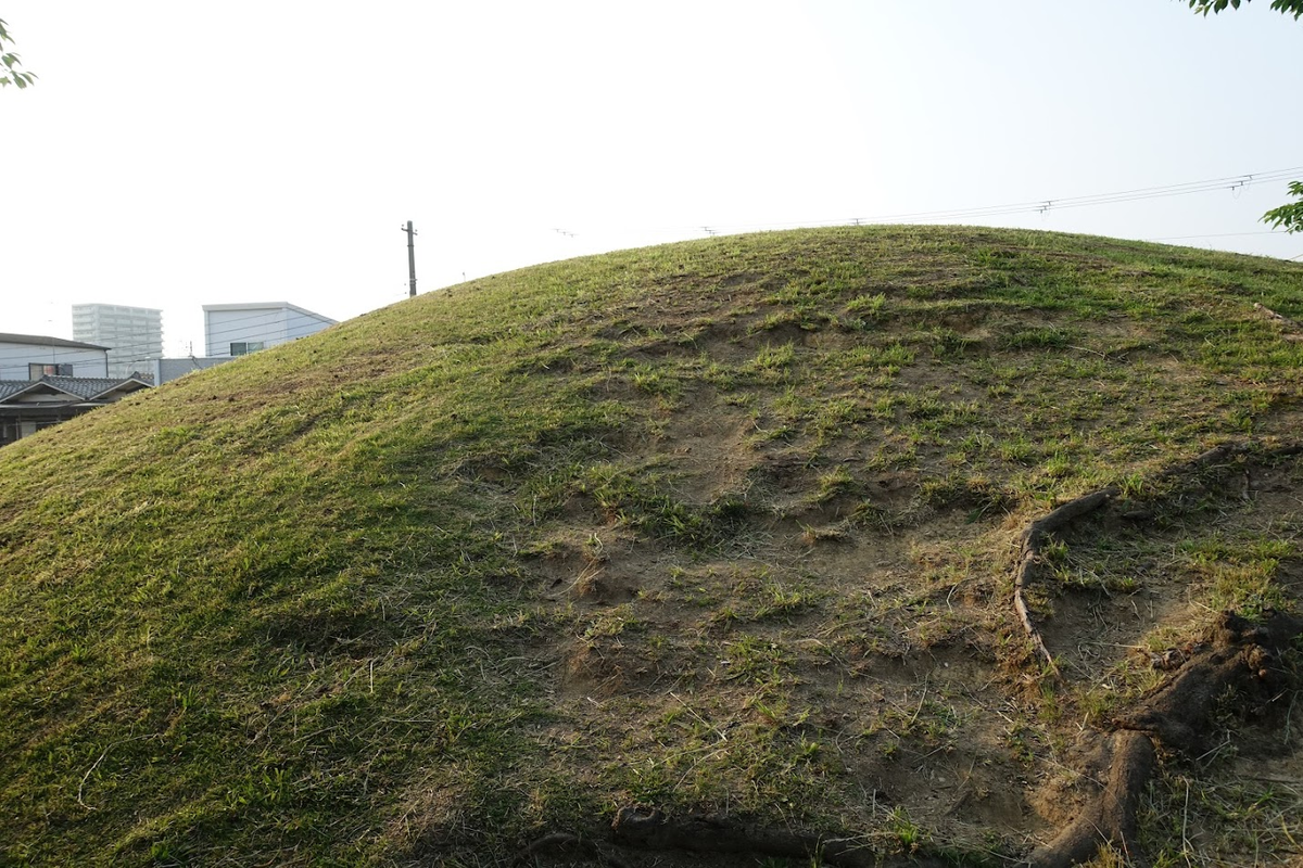 定の山古墳 大阪府堺市北区百舌鳥梅町 墳丘からの眺め 定の山古墳 大阪府堺市北区百舌鳥梅町 墳丘からの眺め