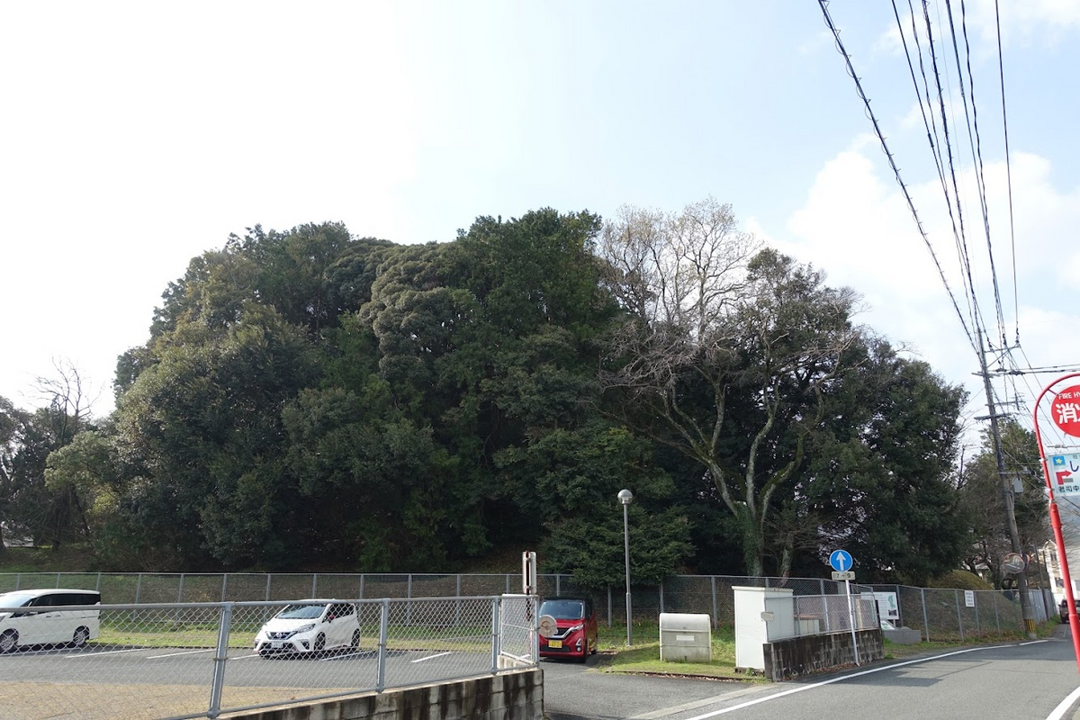 文化財調査報告書　老司古墳　考古学　前方後円墳　横穴式石室　銅鏡　埴輪　勾玉 老司古墳、卯内尺古墳跡 福岡県福岡市南区老司 - 墳丘からの眺め