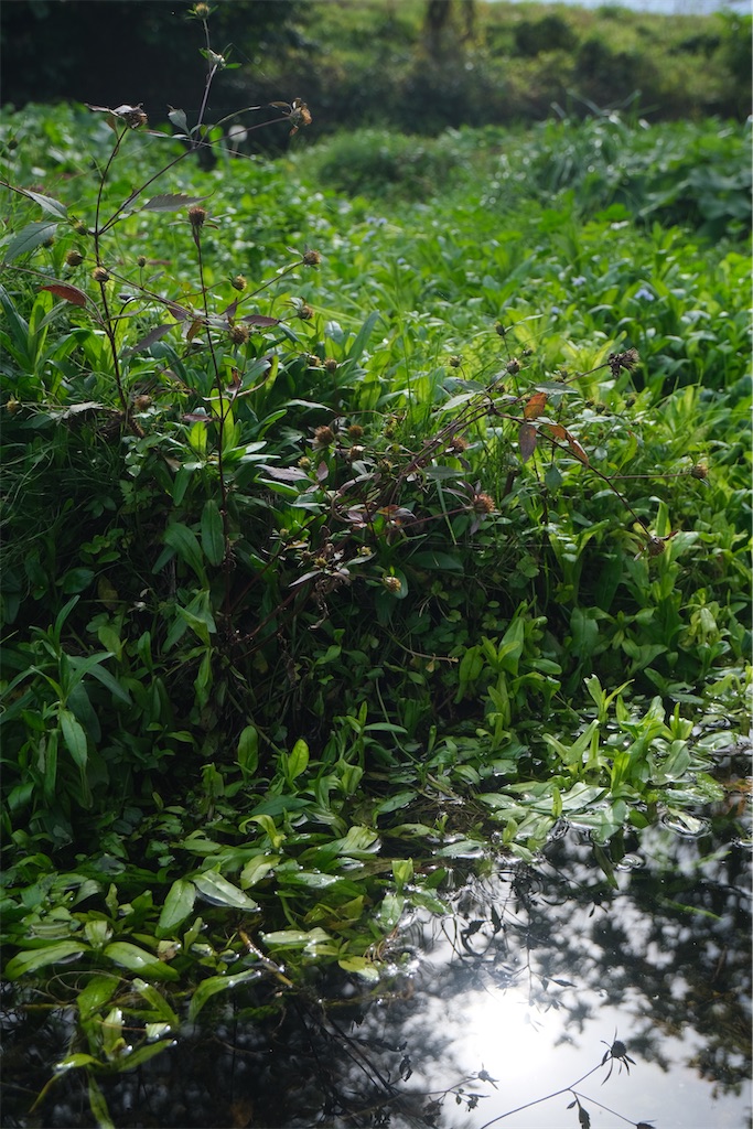f:id:massto0421:20241024195159j:image