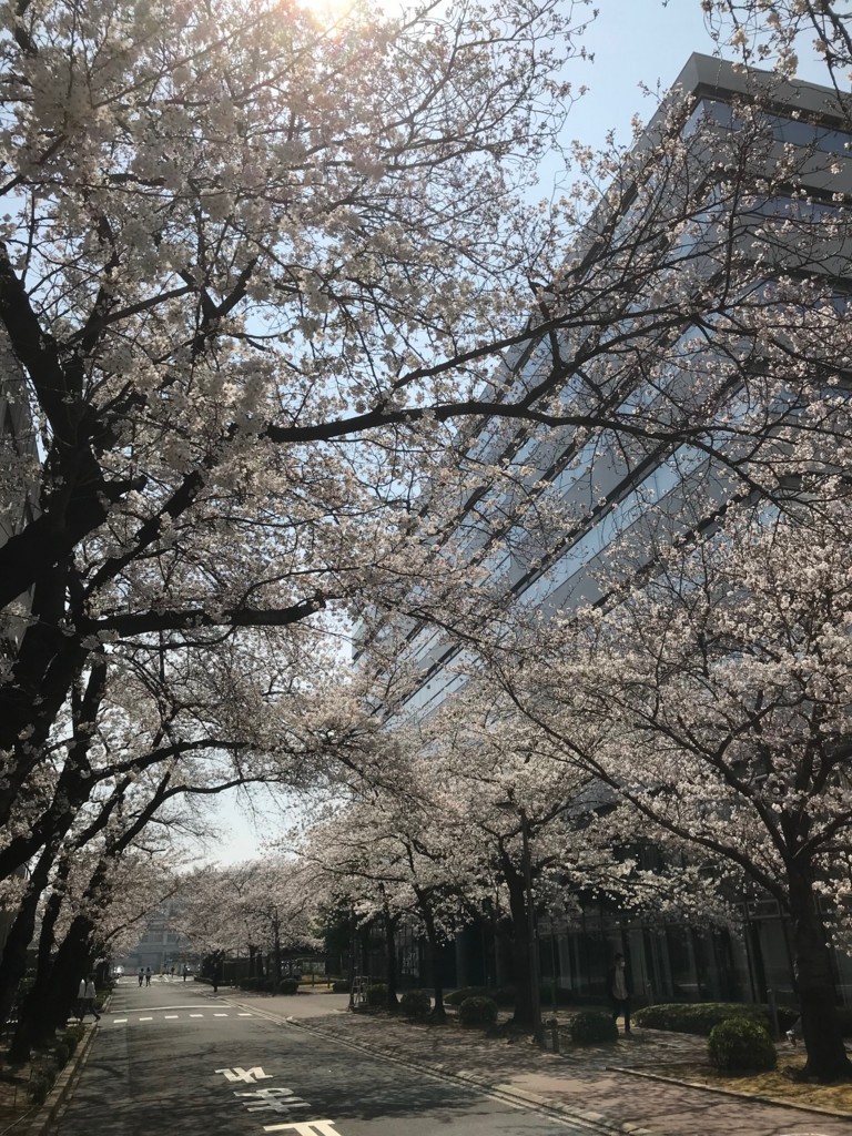 f:id:massy:20180326122447j:plain