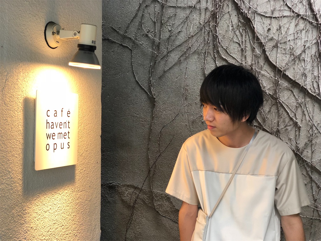 f:id:massyu_ha_kuso:20190130214223j:image f:id:massyu_ha_kuso:20190130214223j:image