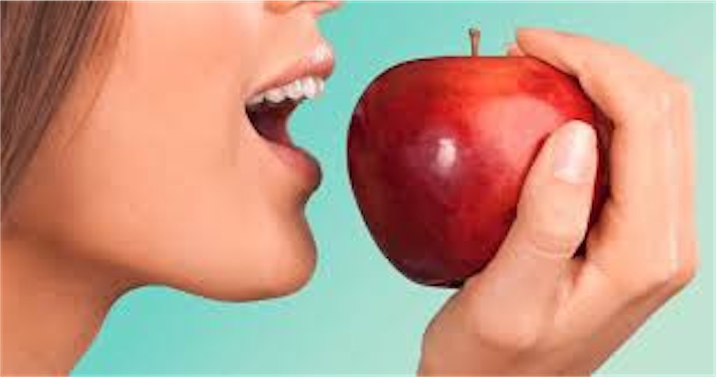 f:id:mastelkun:20221224180234j:image