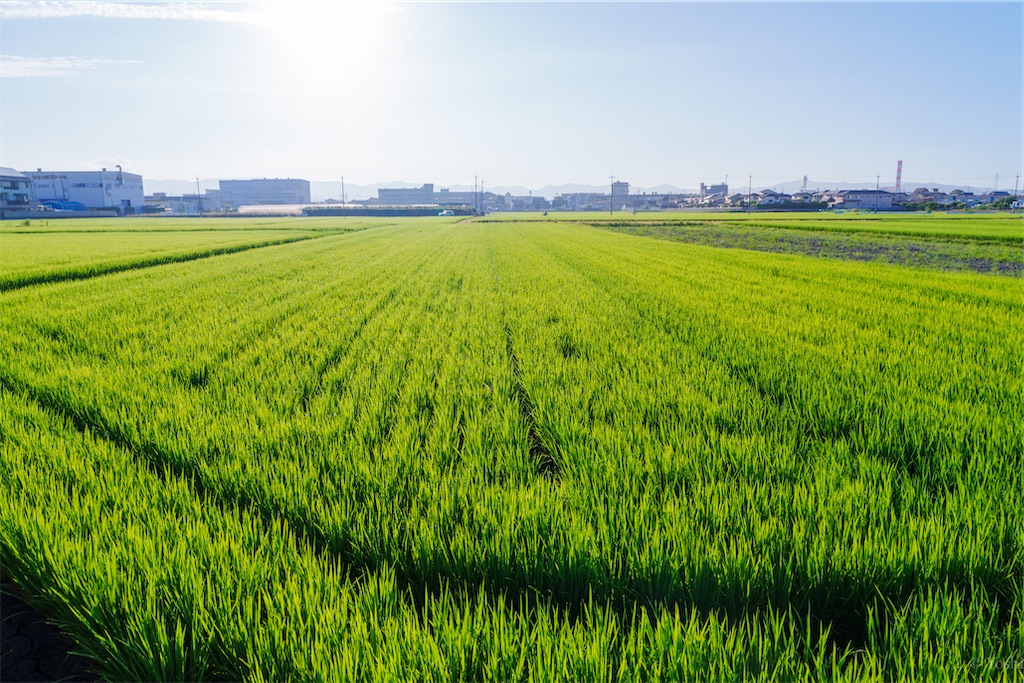 f:id:master-no-kobeya:20230905165759j:image f:id:master-no-kobeya:20230905165759j:image