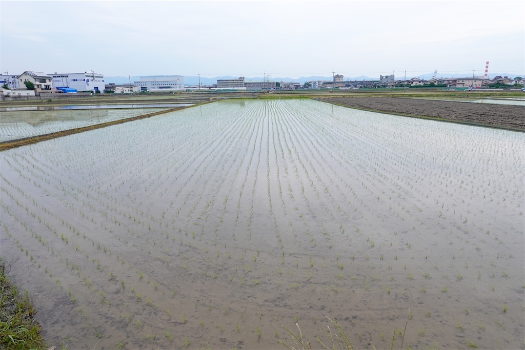 f:id:master-no-kobeya:20230905165806j:image f:id:master-no-kobeya:20230905165806j:image