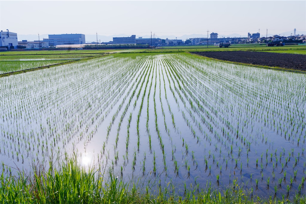 f:id:master-no-kobeya:20230905165811j:image f:id:master-no-kobeya:20230905165811j:image