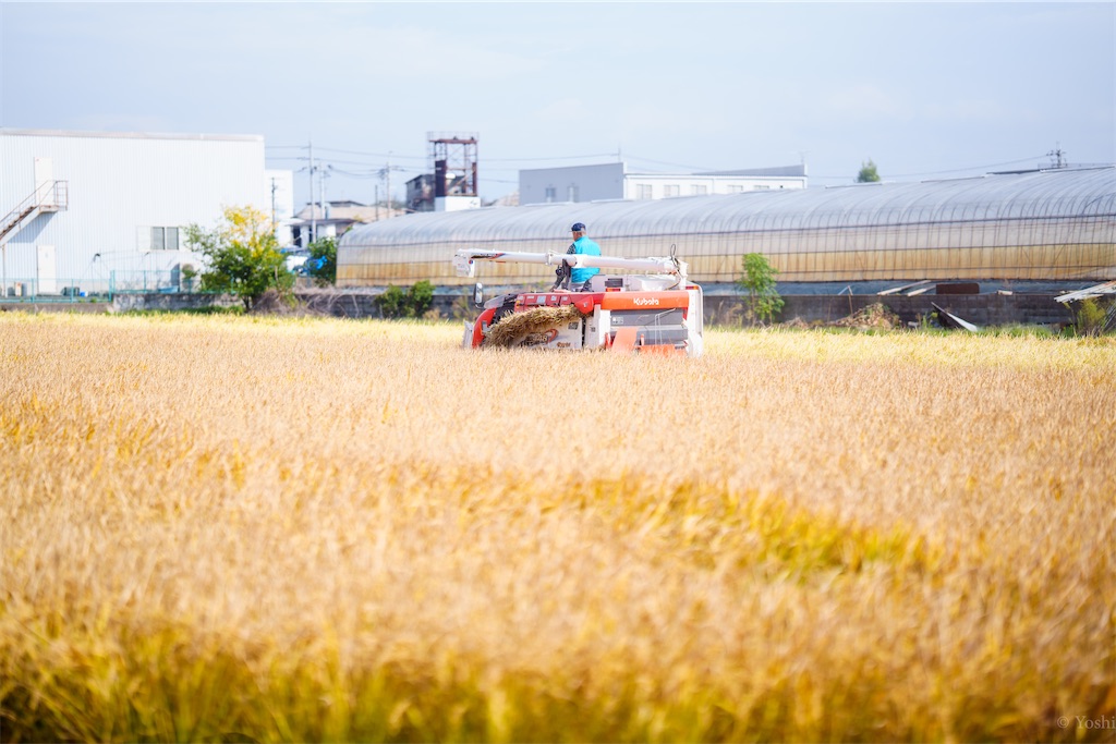 f:id:master-no-kobeya:20231026170111j:image f:id:master-no-kobeya:20231026170111j:image