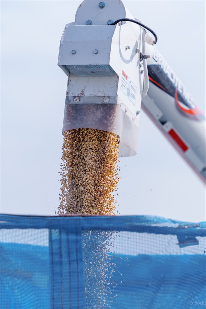 f:id:master-no-kobeya:20231026170116j:image f:id:master-no-kobeya:20231026170116j:image