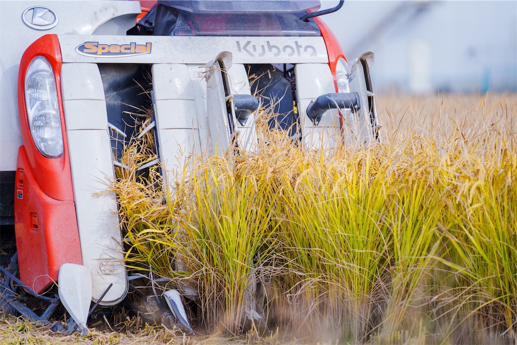 f:id:master-no-kobeya:20231026170125j:image f:id:master-no-kobeya:20231026170125j:image