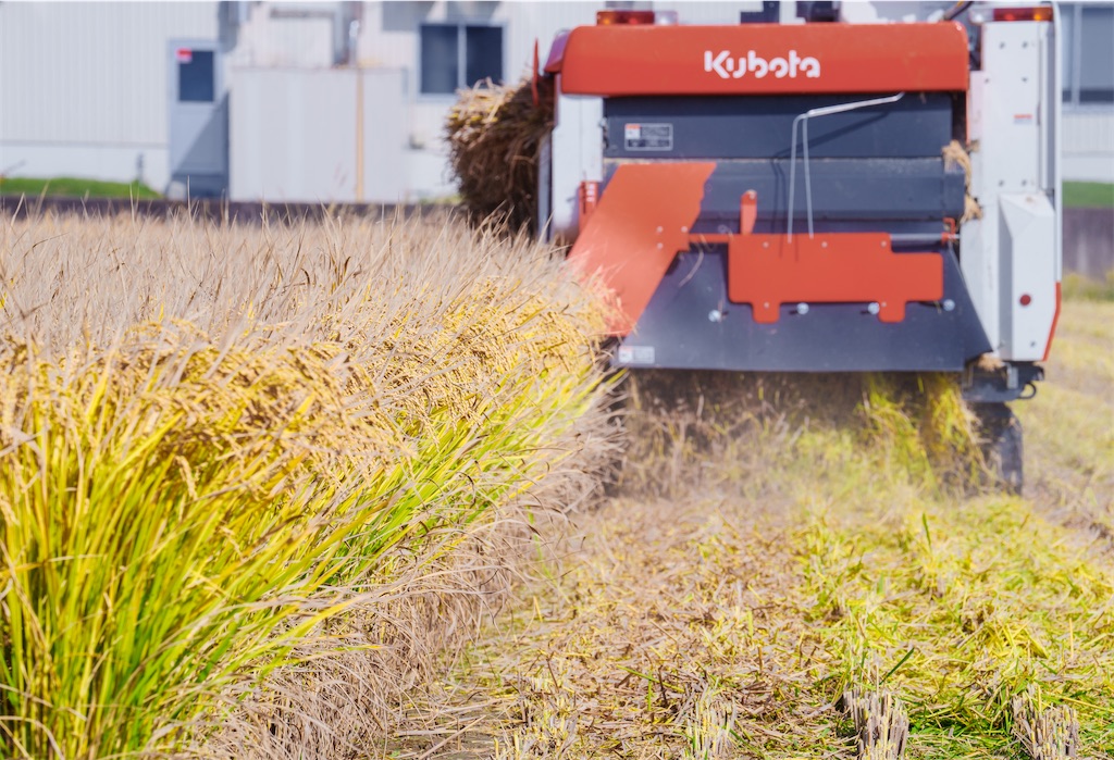 f:id:master-no-kobeya:20231026170129j:image f:id:master-no-kobeya:20231026170129j:image