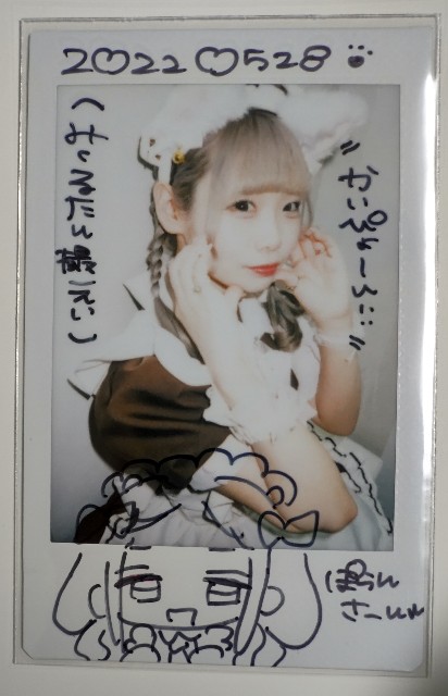 f:id:master_kaipyon:20220528202409j:image f:id:master_kaipyon:20220528202409j:image