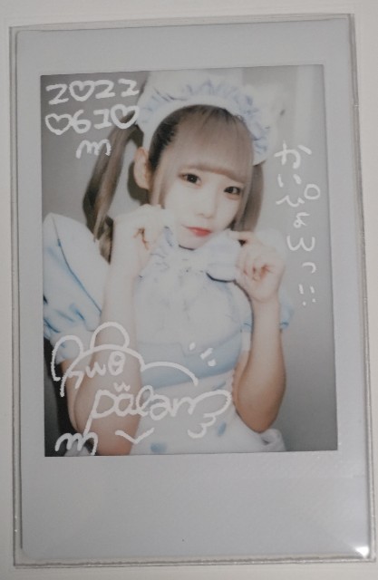 f:id:master_kaipyon:20220611003851j:image