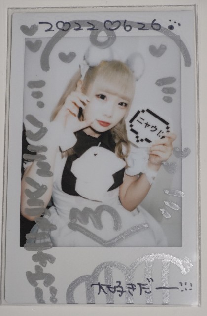 f:id:master_kaipyon:20220627212943j:image