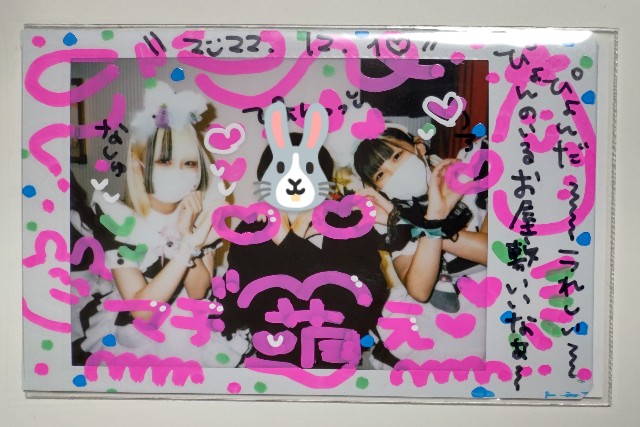 f:id:master_kaipyon:20221211000938j:image