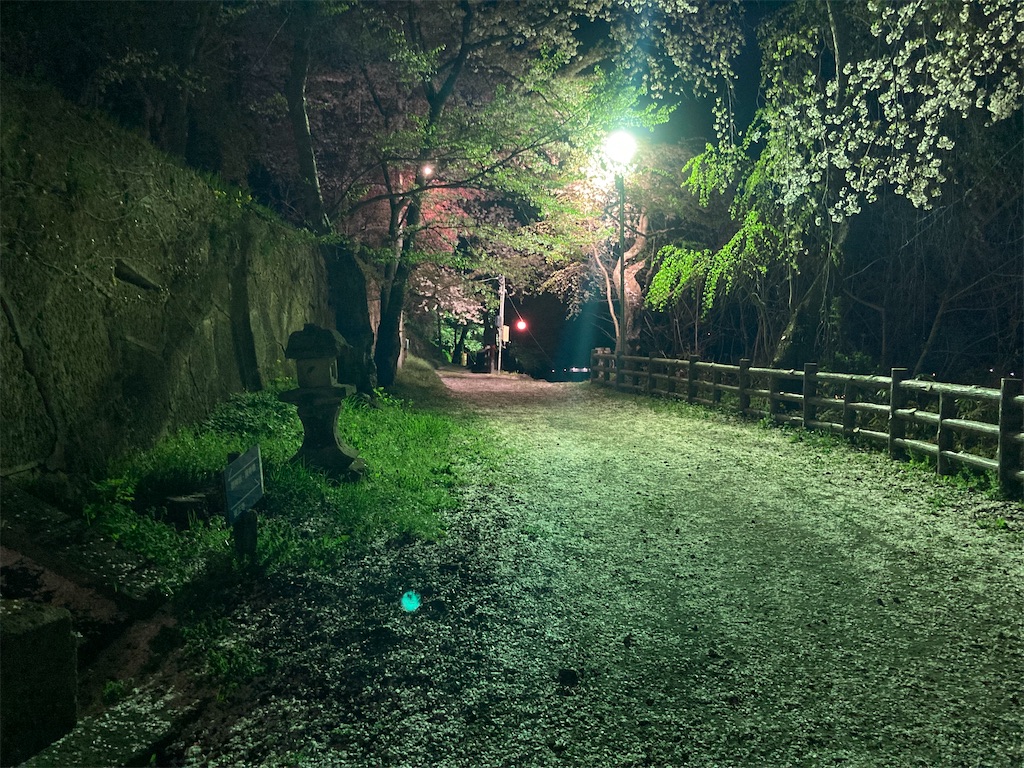 f:id:masterhato:20220502100113j:image
