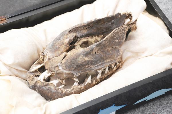 f:id:masterwind:20200311095434j:plain f:id:masterwind:20200311095434j:plain