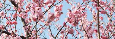 f:id:masterwind:20200921085129j:plain f:id:masterwind:20200921085129j:plain