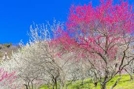 f:id:masterwind:20200921092549j:plain f:id:masterwind:20200921092549j:plain