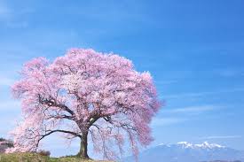 f:id:masterwind:20200921092624j:plain f:id:masterwind:20200921092624j:plain