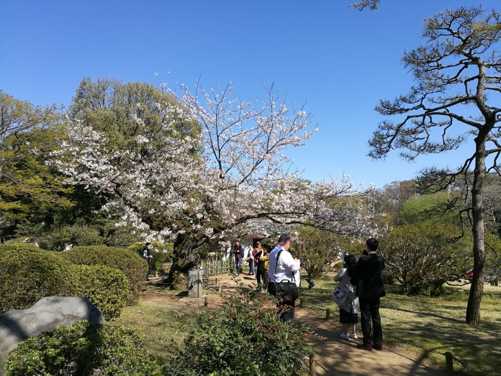 f:id:masterzzz:20180331001933j:plain f:id:masterzzz:20180331001933j:plain