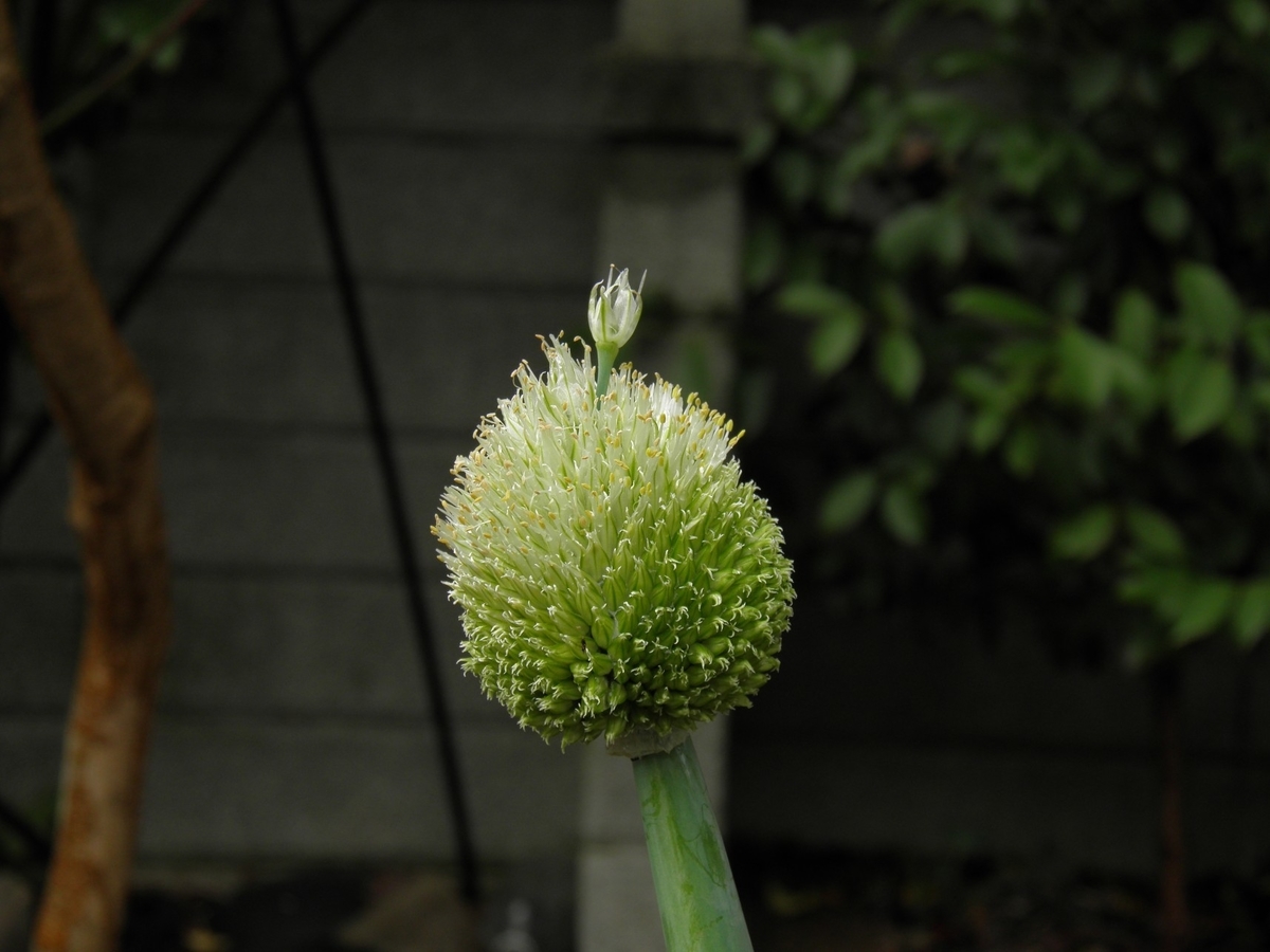 f:id:masuhiro6595:20190328121232j:plain f:id:masuhiro6595:20190328121232j:plain