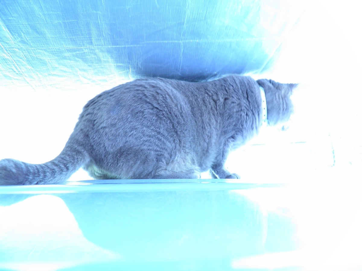 f:id:masuhiro6595:20190418175225j:plain f:id:masuhiro6595:20190418175225j:plain