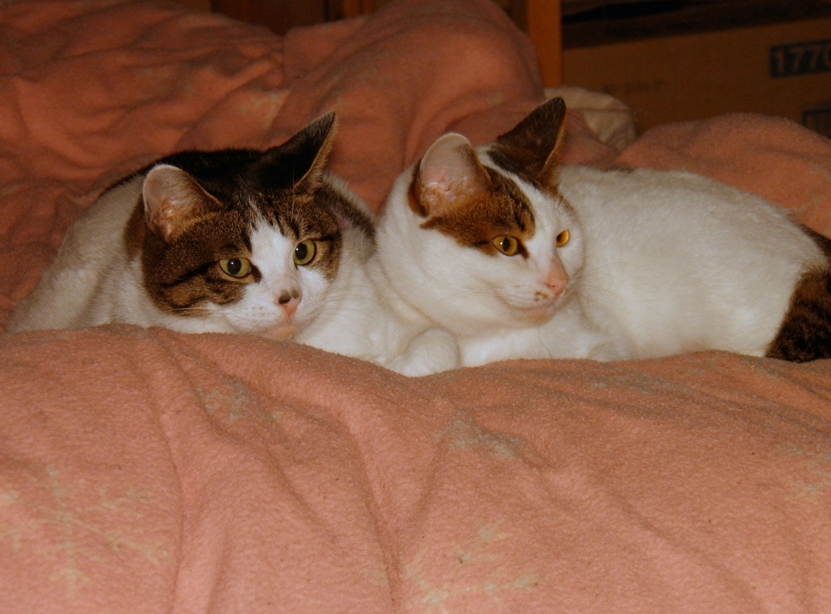 ブリエとはるかのツーショット写真