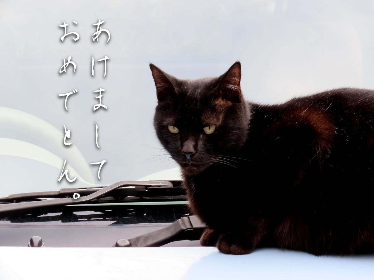 葉ログ 葉ログ