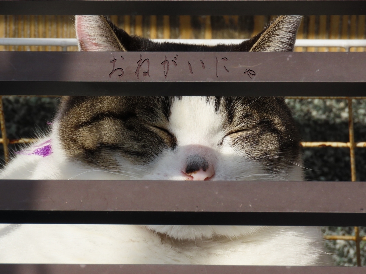 ブリエ