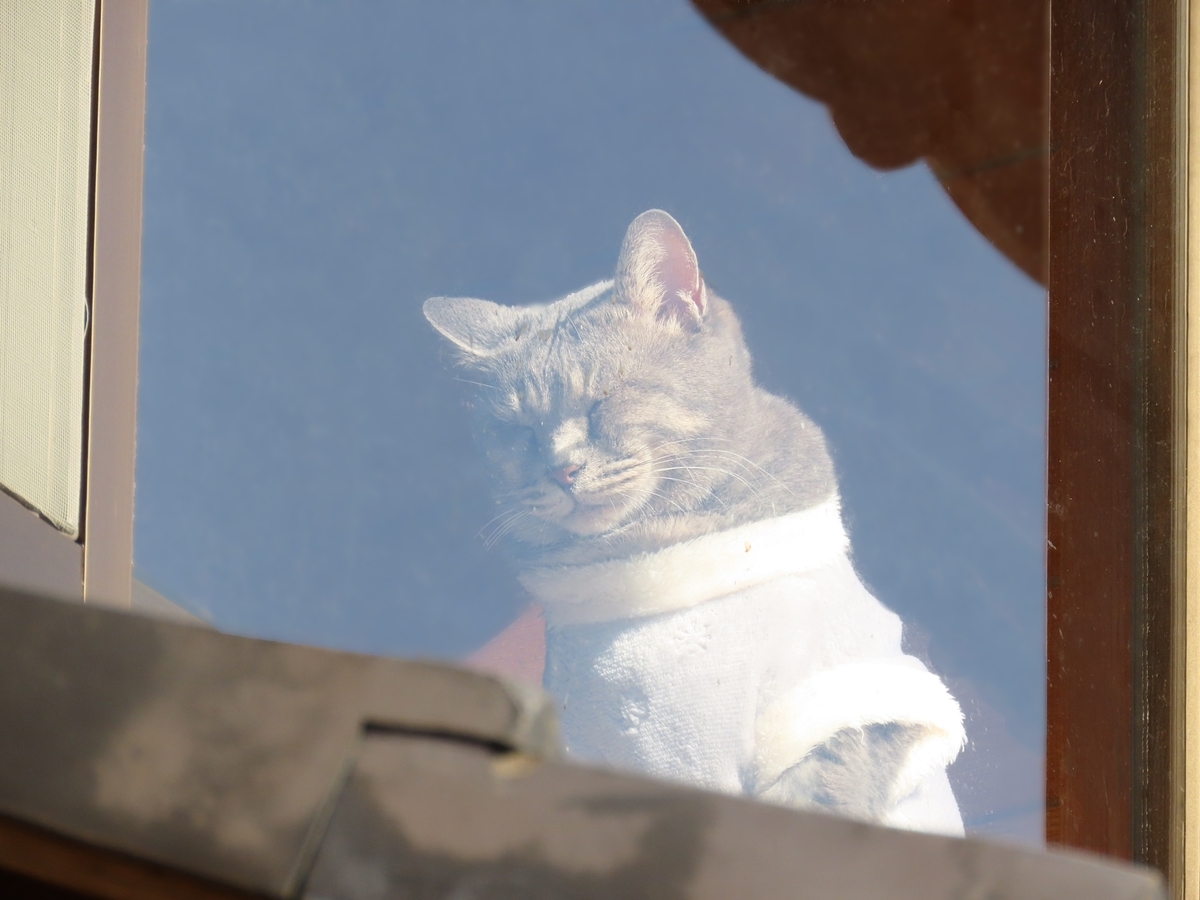 葉ログ 葉ログ