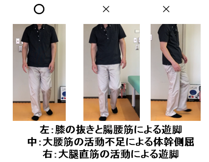 f:id:masuiPT:20181111111752p:plain f:id:masuiPT:20181111111752p:plain
