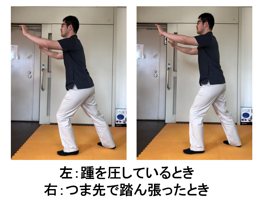 f:id:masuiPT:20190415181356p:plain f:id:masuiPT:20190415181356p:plain