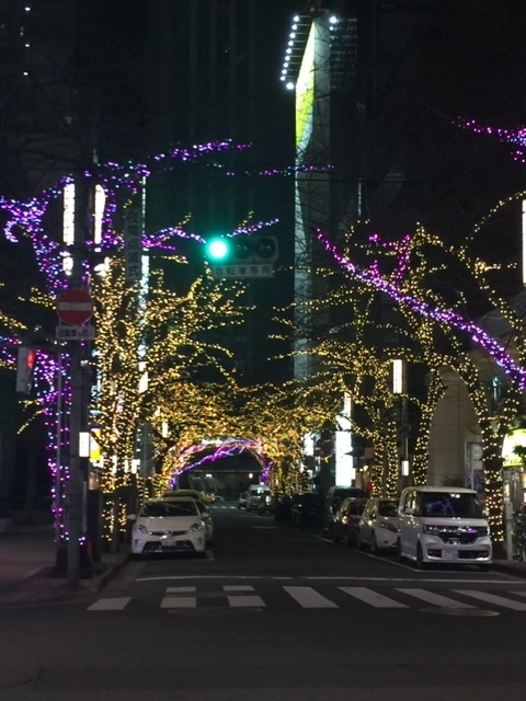 f:id:masumiharu:20190217025348j:plain
