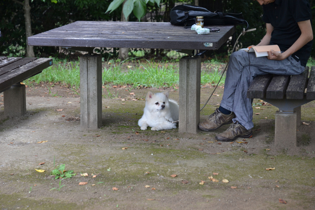 f:id:masuraoo:20110724103919j:image
