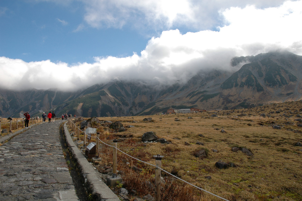f:id:masuraoo:20111201230212j:plain f:id:masuraoo:20111201230212j:plain