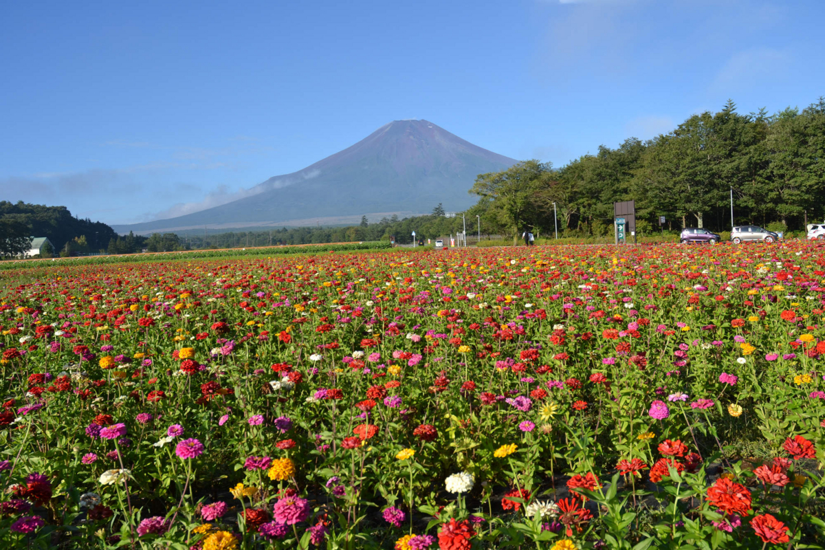 f:id:masuraoo:20120915110136j:plain f:id:masuraoo:20120915110136j:plain