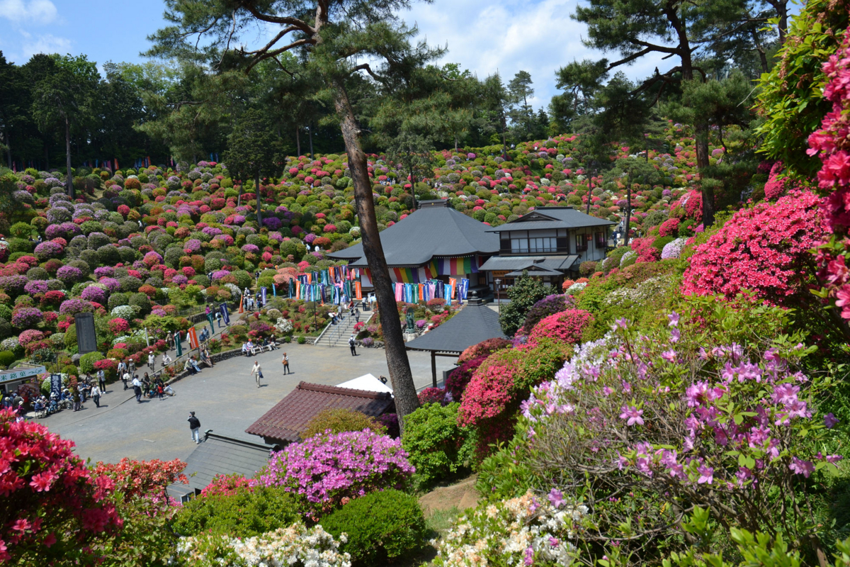 f:id:masuraoo:20130505051618j:plain f:id:masuraoo:20130505051618j:plain