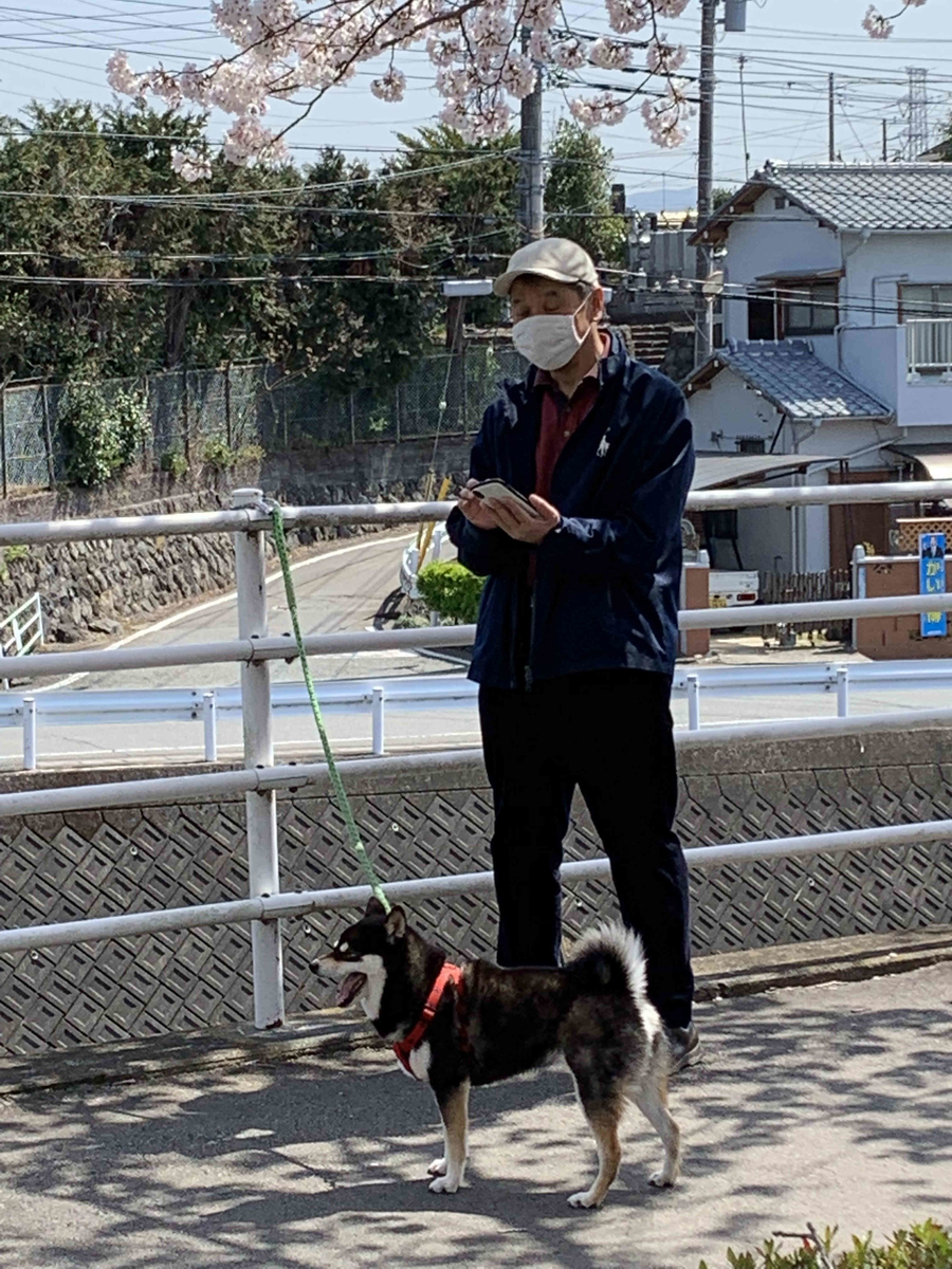 f:id:masuraoo:20190406140121j:plain f:id:masuraoo:20190406140121j:plain