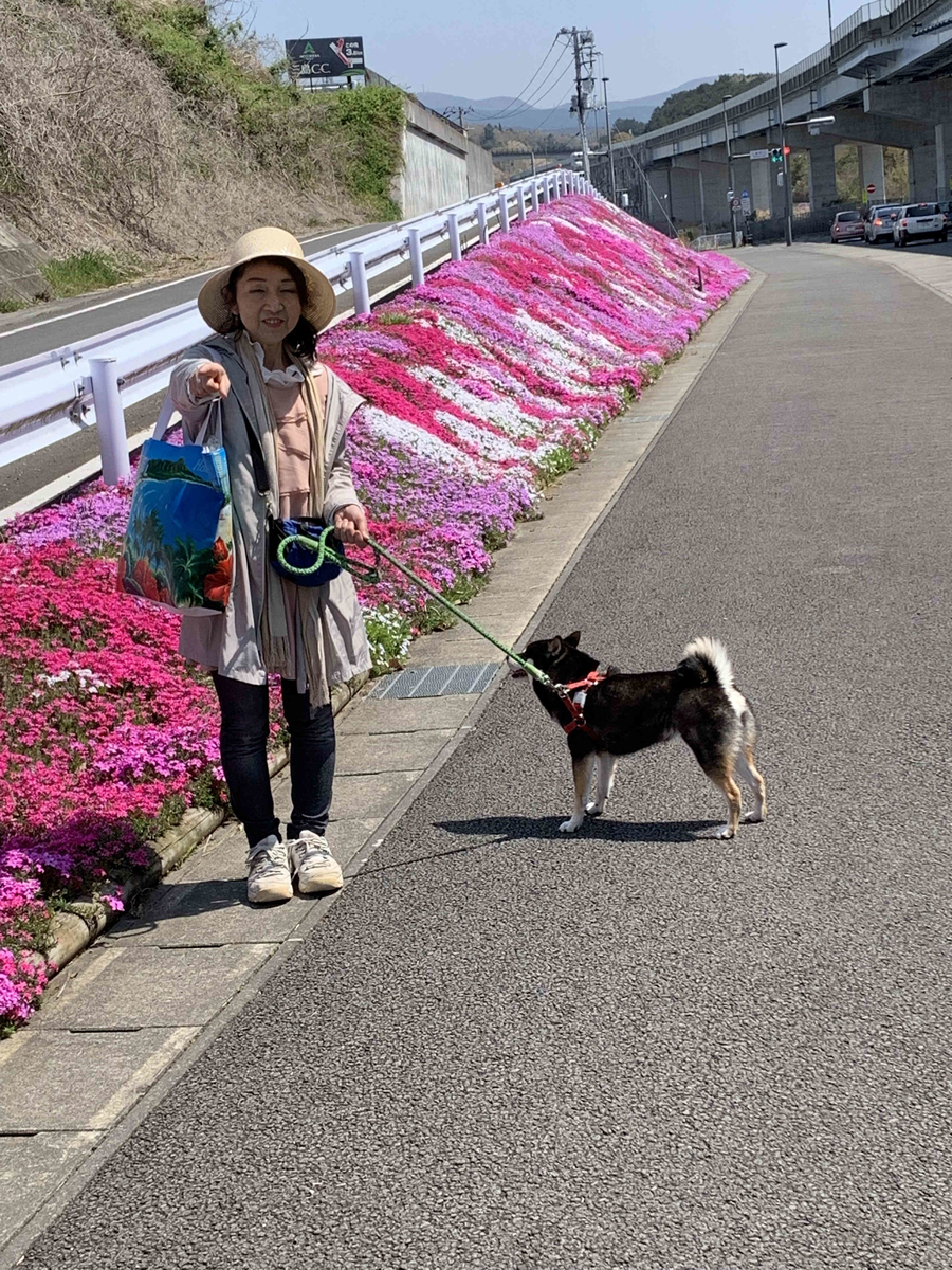 f:id:masuraoo:20190406140126j:plain f:id:masuraoo:20190406140126j:plain