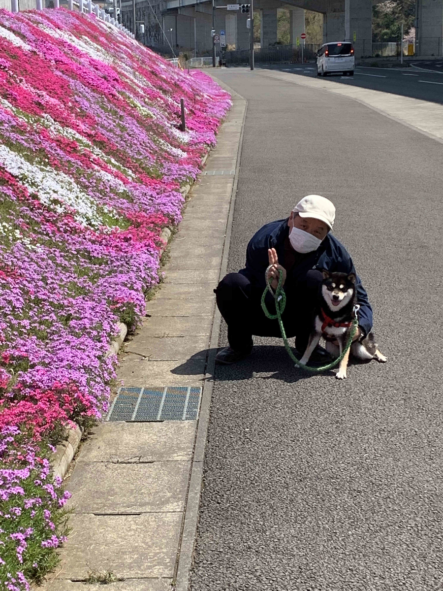 f:id:masuraoo:20190406140134j:plain f:id:masuraoo:20190406140134j:plain