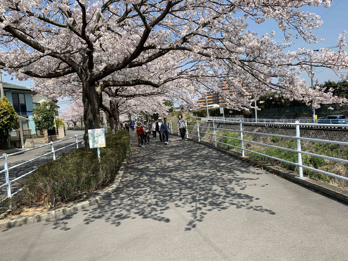 f:id:masuraoo:20190406140135j:plain f:id:masuraoo:20190406140135j:plain