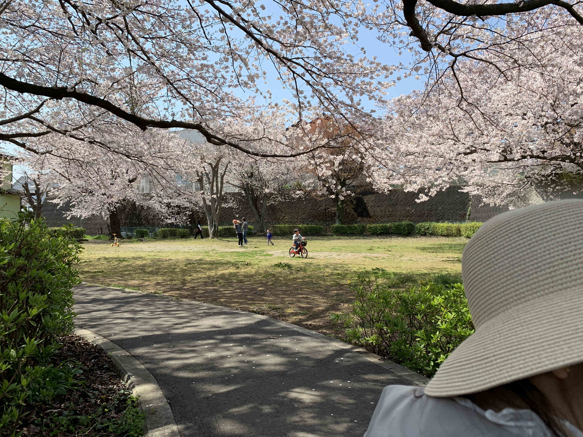 f:id:masuraoo:20190406140144j:plain f:id:masuraoo:20190406140144j:plain