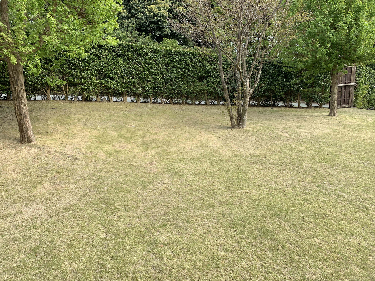 f:id:masuraoo:20190420045501j:plain f:id:masuraoo:20190420045501j:plain