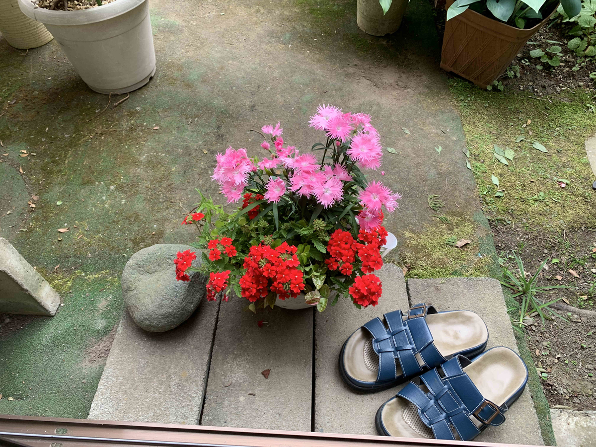 f:id:masuraoo:20190518171057j:plain f:id:masuraoo:20190518171057j:plain