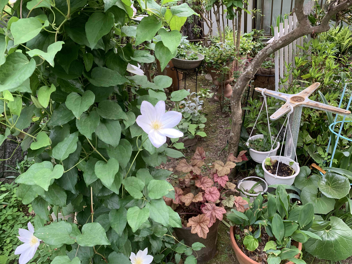 f:id:masuraoo:20190518171102j:plain f:id:masuraoo:20190518171102j:plain