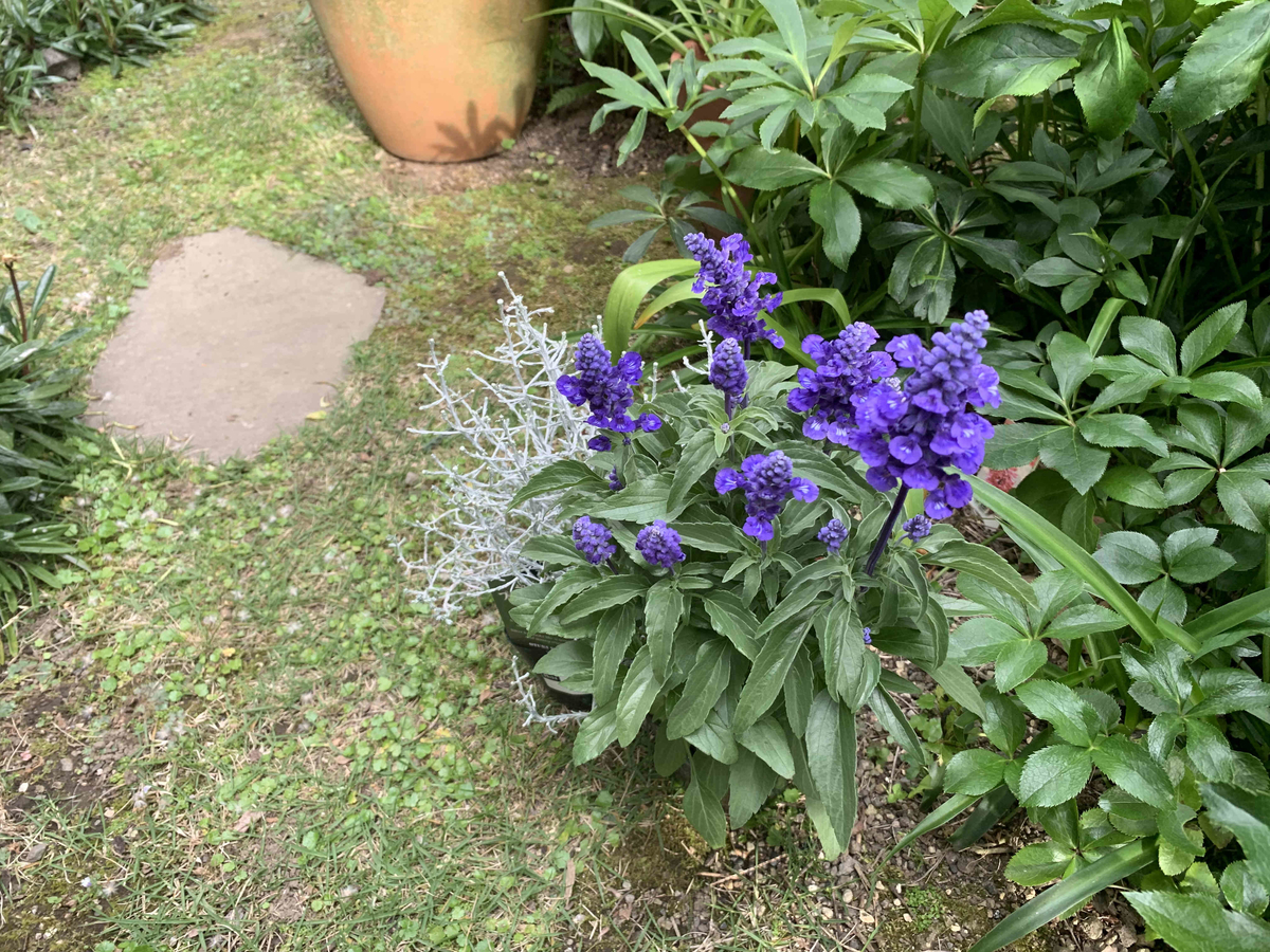 f:id:masuraoo:20190518171103j:plain f:id:masuraoo:20190518171103j:plain