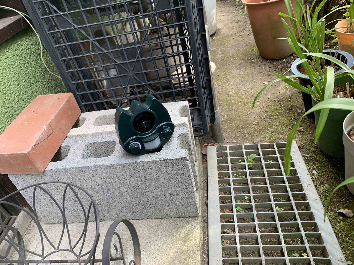 f:id:masuraoo:20190518171105j:plain f:id:masuraoo:20190518171105j:plain