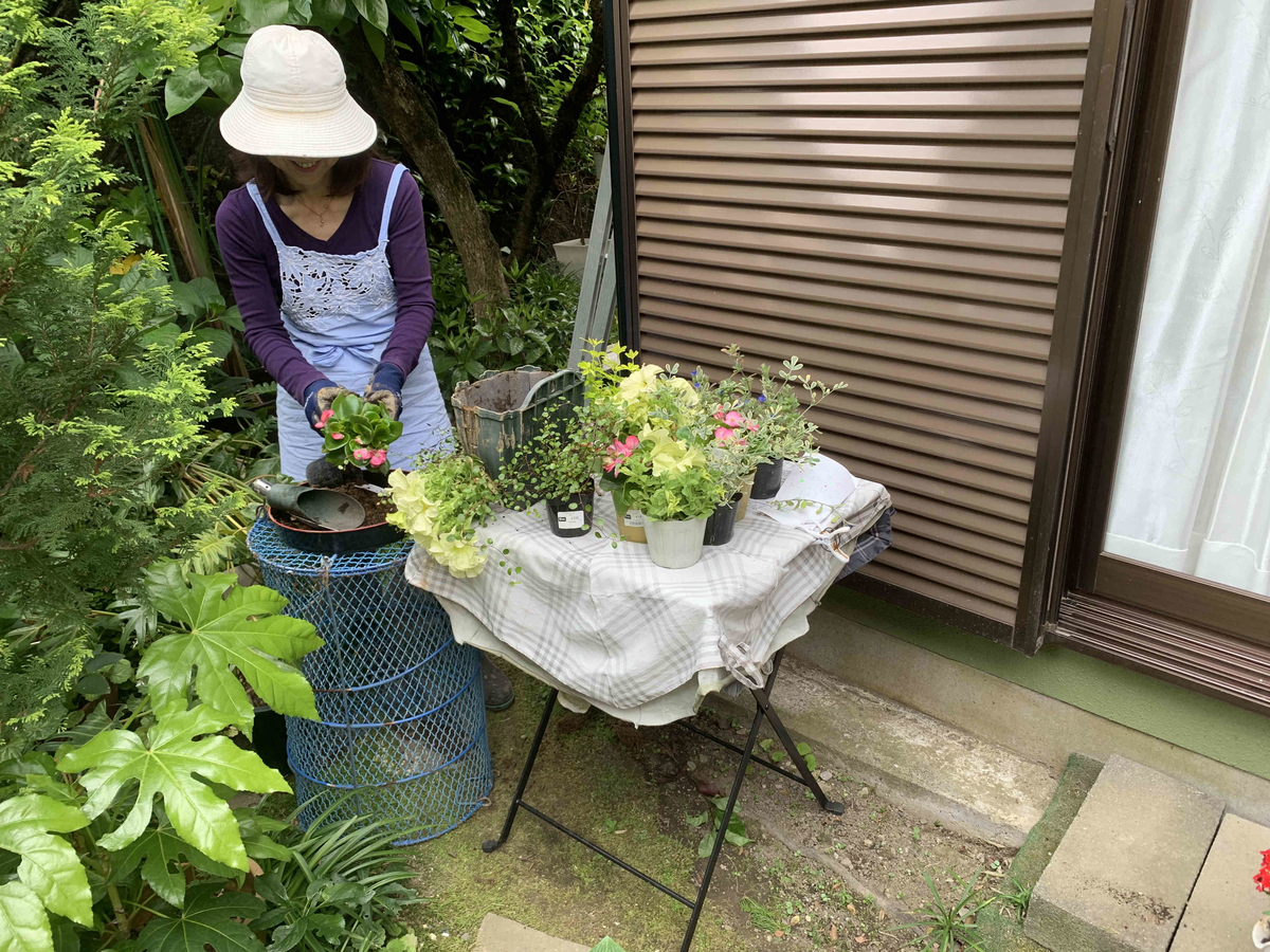 f:id:masuraoo:20190518171107j:plain f:id:masuraoo:20190518171107j:plain