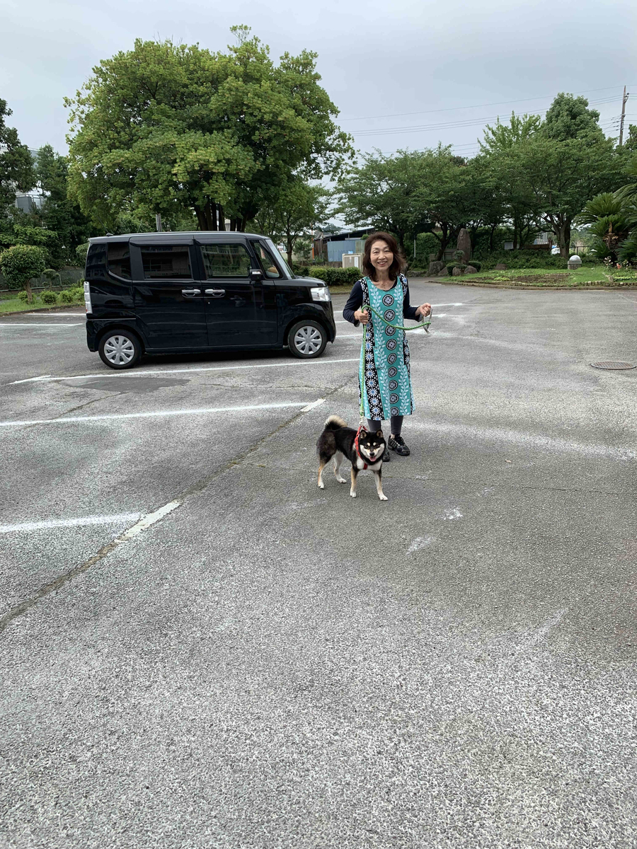 f:id:masuraoo:20190721091146j:plain f:id:masuraoo:20190721091146j:plain