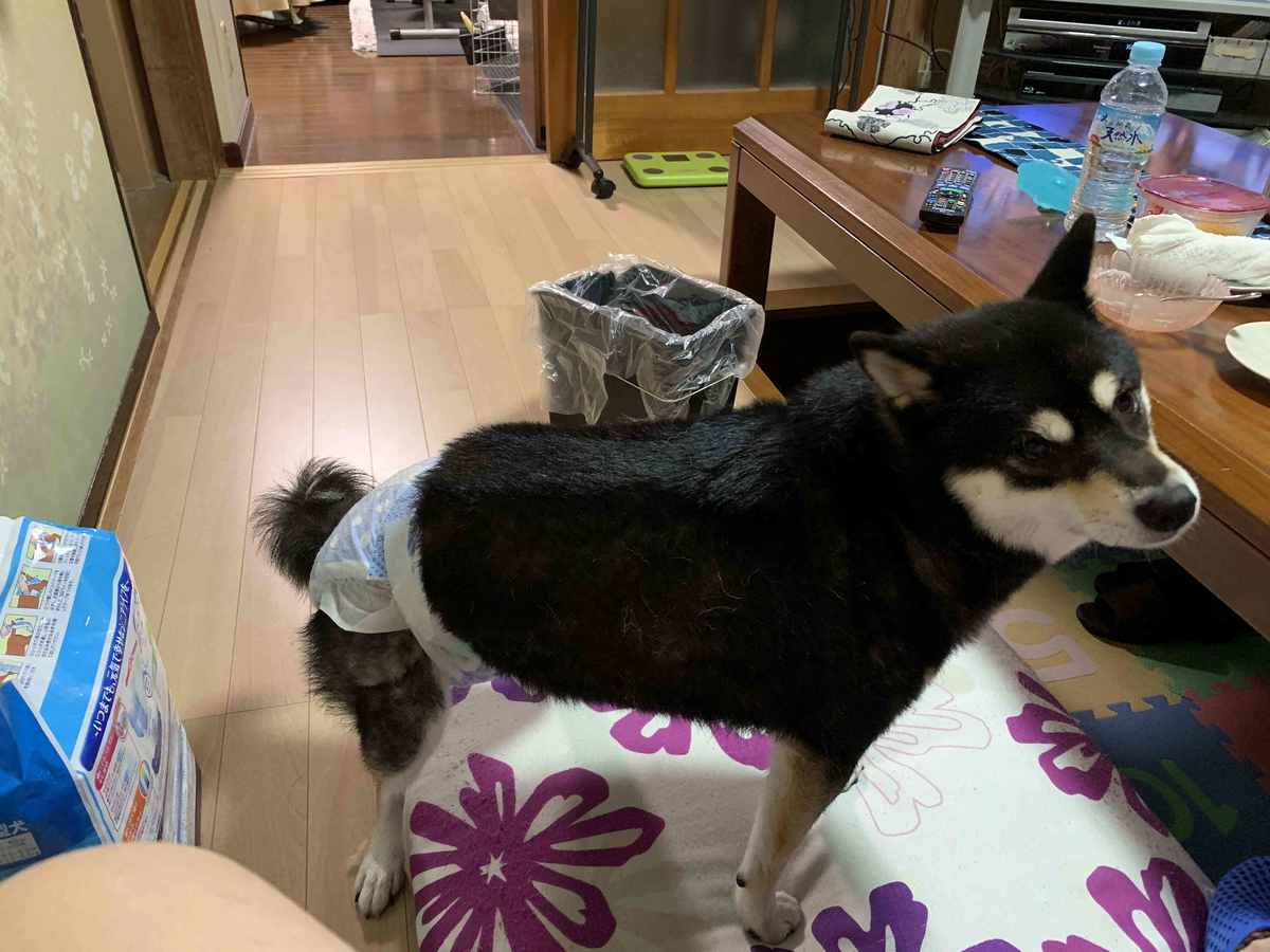f:id:masuraoo:20190916154456j:plain f:id:masuraoo:20190916154456j:plain